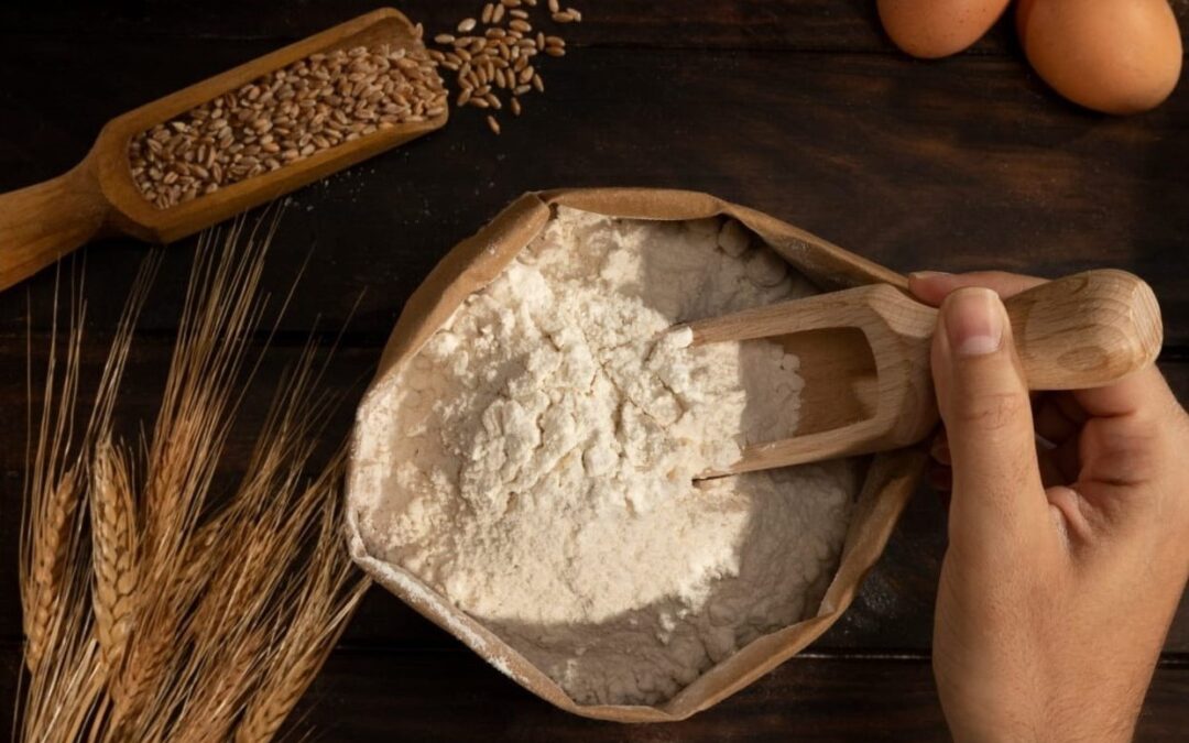 Penyebab Tepung Terigu Berbau Apek