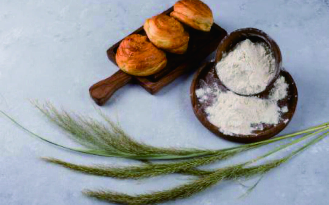 Tips Memilih Tepung Terigu yang Tepat untuk Hidangan Anda