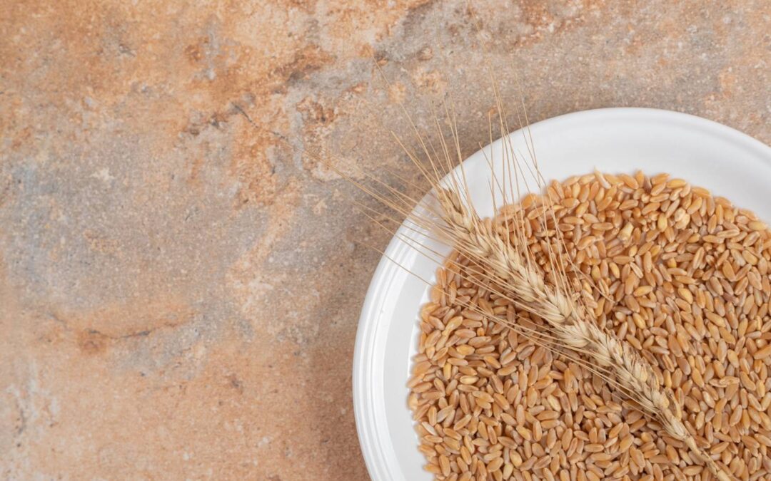 Ditemukan 10.000 Tahun Lalu, Begini Sejarah dan Perkembangan Tepung Terigu